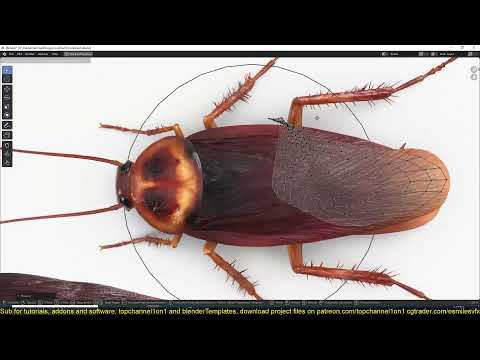 how i made cockroaches come to life with blender