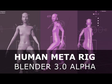 Blender 3.0 | Human Meta Rig | Rigify For Beginners EASY