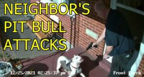Neighbor’s Pit Bull Almost Got Shot After Attacking