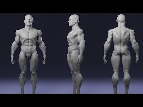 Live Anatomy Sculpting in ZBrush