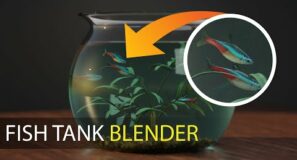Tutorial: Blender Fish Bowl EASY
