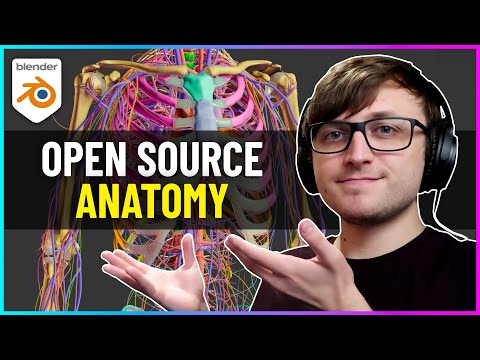 AMAZING Open Source Project for Blender! (Z-Anatomy)