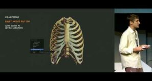 Z-Anatomy: The open source 3D atlas of human anatomy