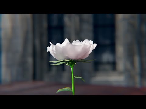 flower growth animation preview   blender