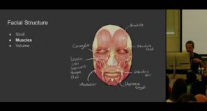 Tackling Facial Animation