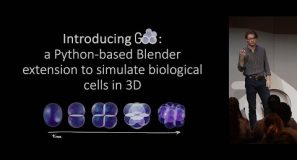 Simulating Biological Cells in 3D