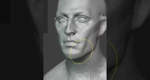 Sculpting a 3D head from scratch in Blender #b3d #tutorial