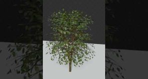 Blender Tutorial Day #67 – Sapling Tree Generator Addon