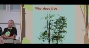 Simulating Tree Growth using Geometry Nodes — Blender Conference 2024