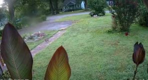 May 26th 2024 through December 31st 2024 Timelapse