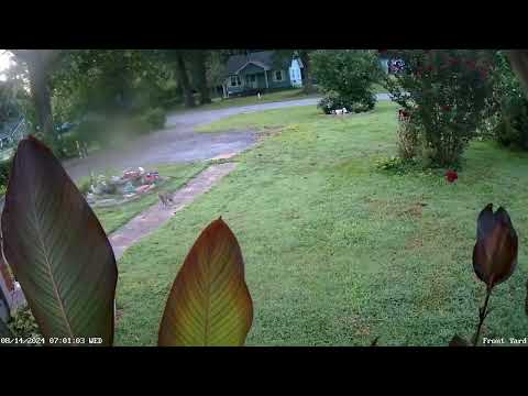 May 26th 2024 through December 31st 2024 Timelapse