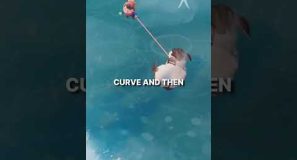 Need to get your fish animated? You can always bribe Rik #b3d #blenderstudio #opengame #godot