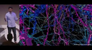 Blending brains: Tales from the neuro department — Blender Conference 2025