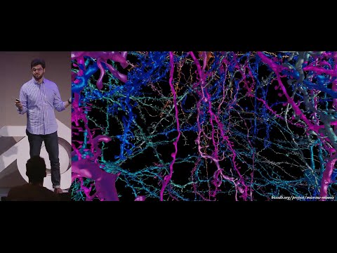 Blending brains: Tales from the neuro department — Blender Conference 2025