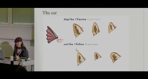 Animals for Games part 2 — Blender Conference 2025