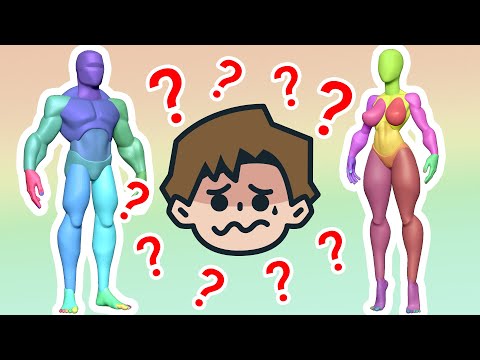 Anatomy Quick Tip – How I Study Anatomy