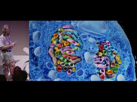Microscopy Nodes: handling large biological volumes — Blender Conference 2025