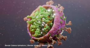 Blender Medical Science Animations Trailer