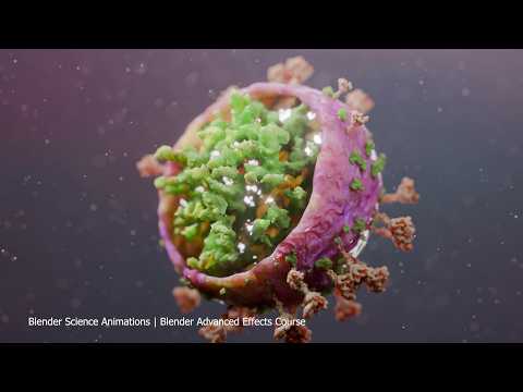 Blender Medical Science Animations Trailer