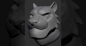 Start to Finish = Pure Satisfaction