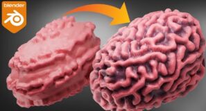 Grow Brain Folds in Blender | GeoNodes | Reaction Diffusion