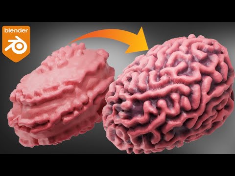 Grow Brain Folds in Blender | GeoNodes | Reaction Diffusion