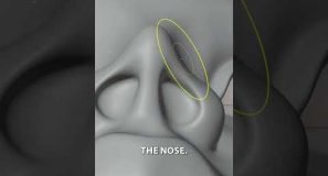 The most common issues in sculpting noses and how to fix them. #b3d #blender3d #3dsculpting