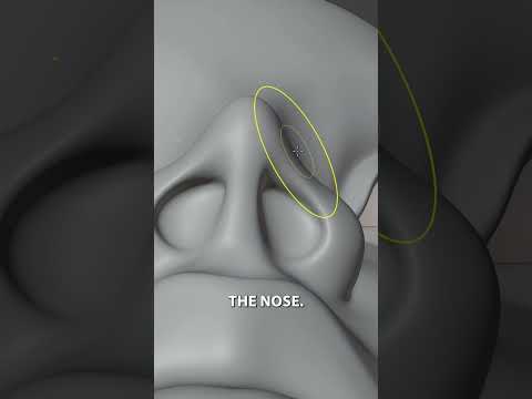 The most common issues in sculpting noses and how to fix them. #b3d #blender3d #3dsculpting