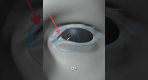Some Blender tips on how to make 3D character’s eyelids look good #b3d #blender3d