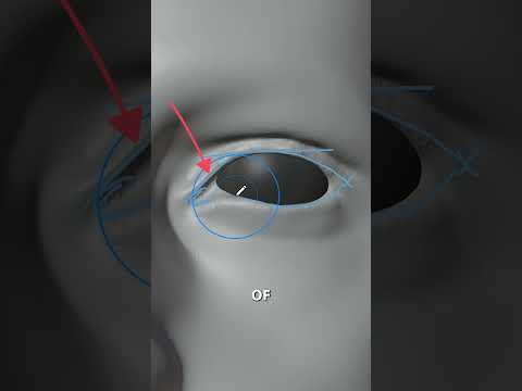 Some Blender tips on how to make 3D character’s eyelids look good #b3d #blender3d